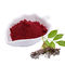 Elderberry নির্যাস Anthocyanidins 25% খাদ্য গ্রেড