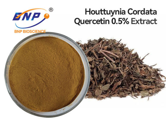 GMP Kosher Houttuynia Cordata Extract Quercetin প্রাকৃতিক অ্যান্টিব্যাকটেরিয়াল