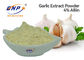 GMP গন্ধহীন রসুন নির্যাস পাউডার 4% অ্যালিসিন BNP ব্র্যান্ড