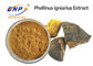 পলিস্যাকারাইড 30% Phellinus Igniarius Extract Sang Hwang Mushroom