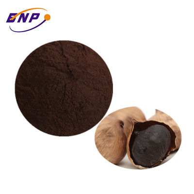 একক মাথা কালো রসুন নির্যাস পাউডার fermented